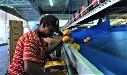 Sedrua convoca al Sector Agroalimentario a formar filas ante el COVID-19     